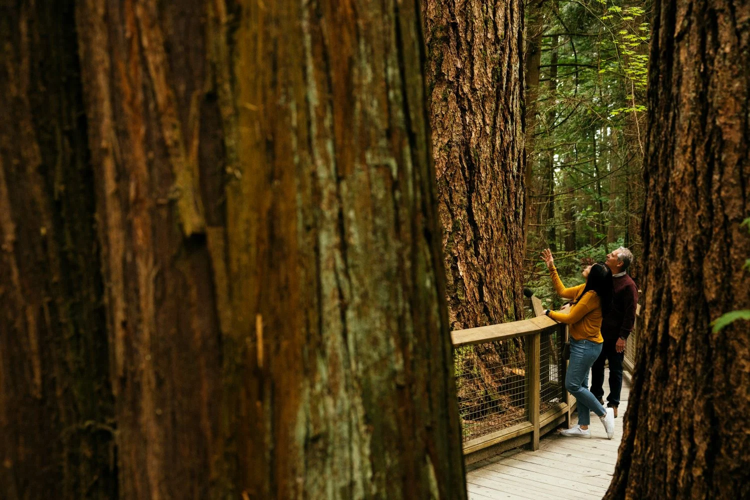 Capilano Rainforest Hike.