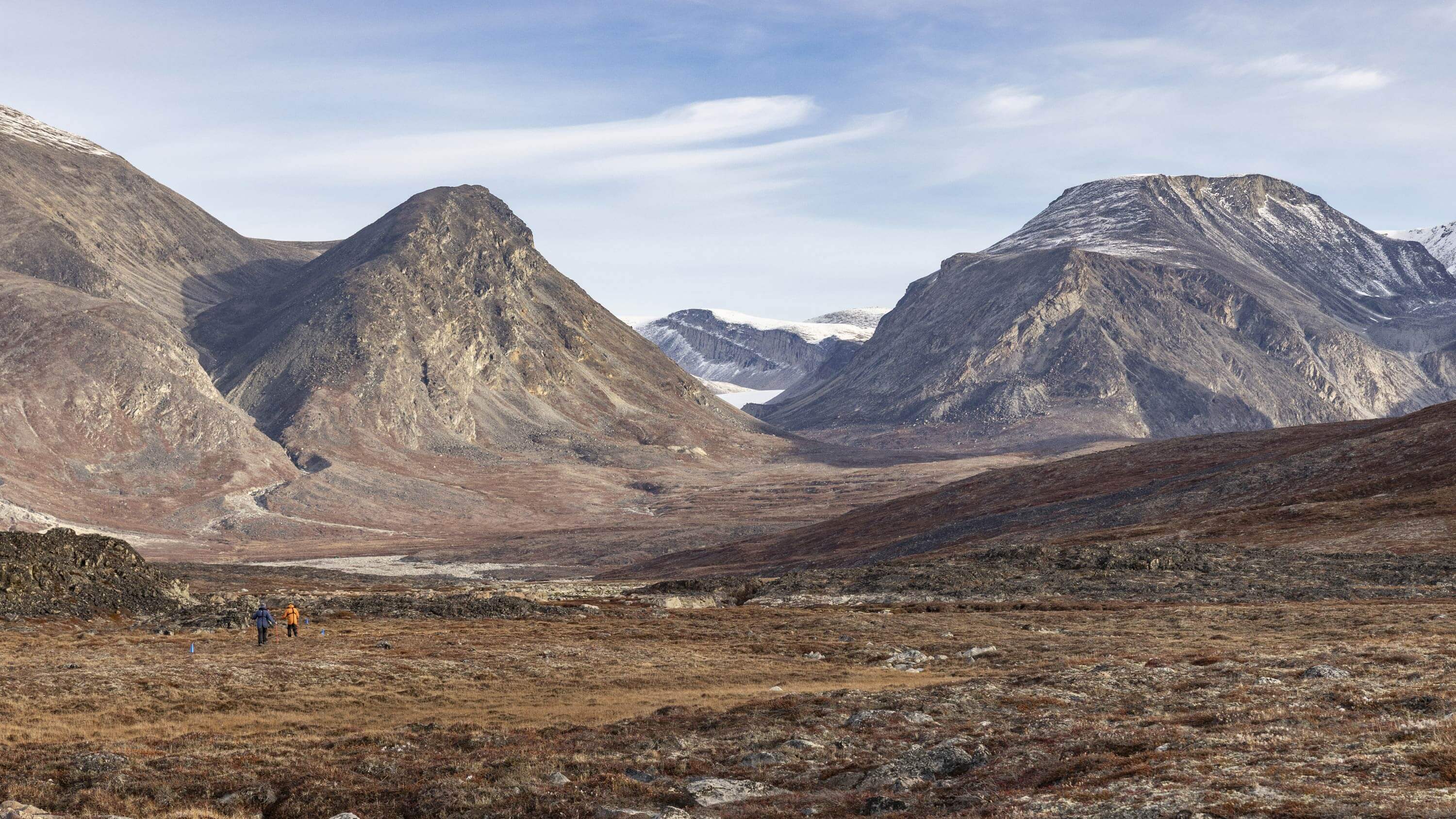 Qeqertarsuaq - Meet & Greet: Greenlandic Sled Dogs Up Close | HX
