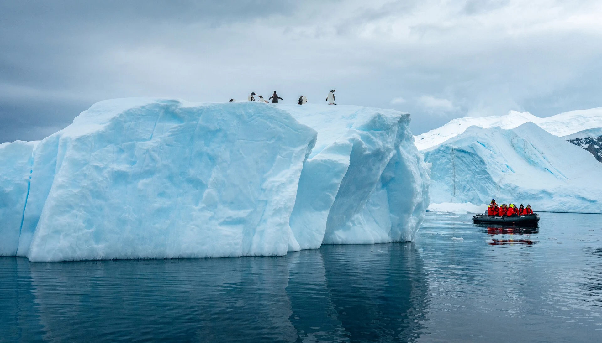 Expeditionskreuzfahrt in der Antarktis