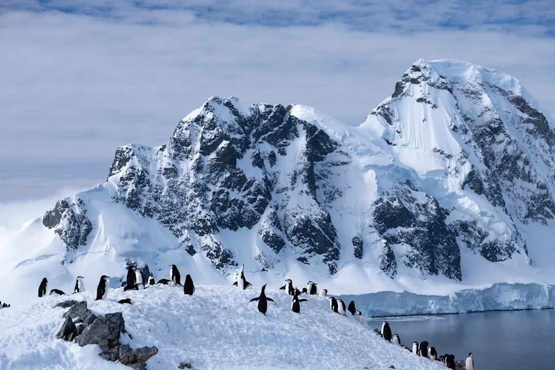 Orne Harbour Antarctica HX 28520