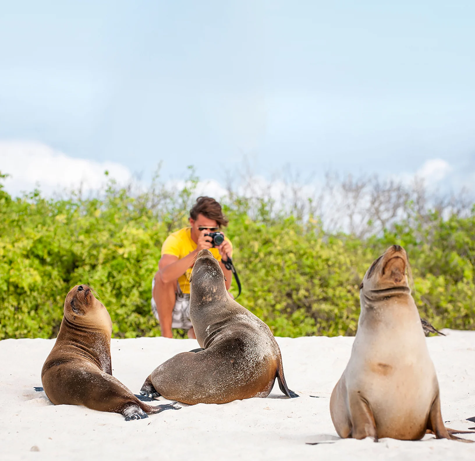 sea-lions-galapagos-2.jpg