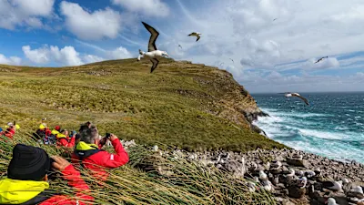 Expeditionsreise Antarktis, Falklandinseln und Südgeorgien 