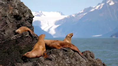 Alaskas Inside-Passage – Wildnis und Kultur (Kurs Süd)