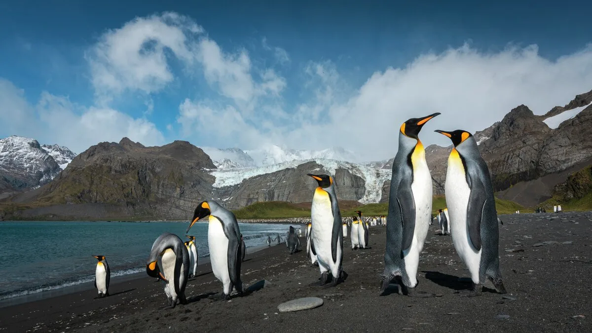 20220215 GOLDHARBOUR YURICHOUFOUR-72019 YURI CHOUFOUR 1200x675