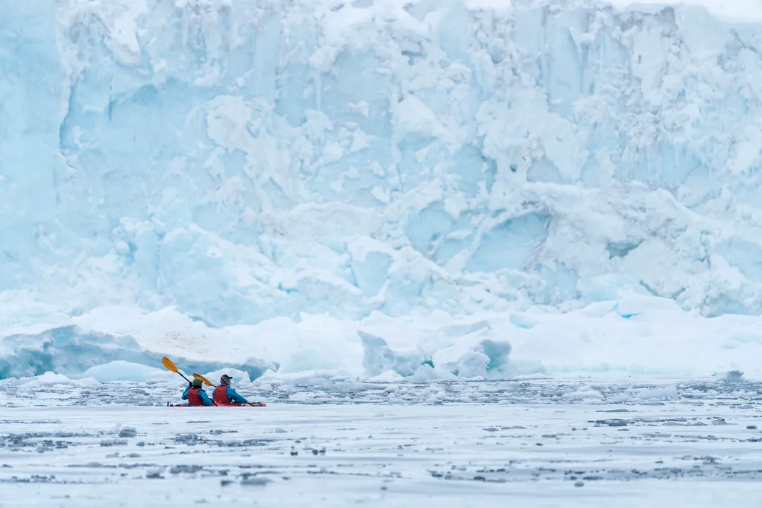 Brown Bluff Antarctica HX 30862
