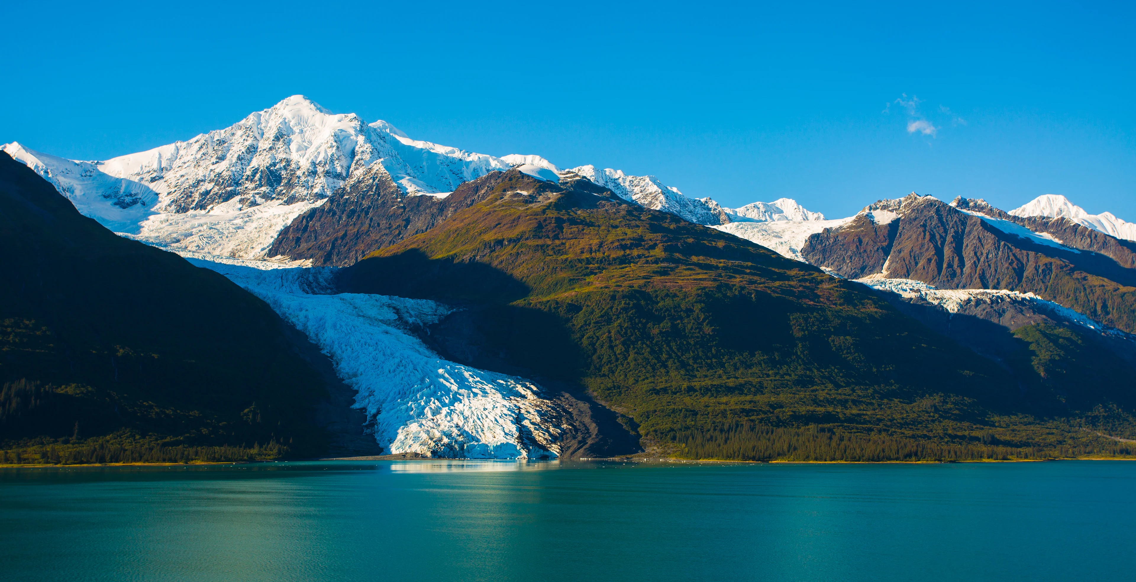 College-fjord-glacier_Alaska__shutterstock_628618814.jpg