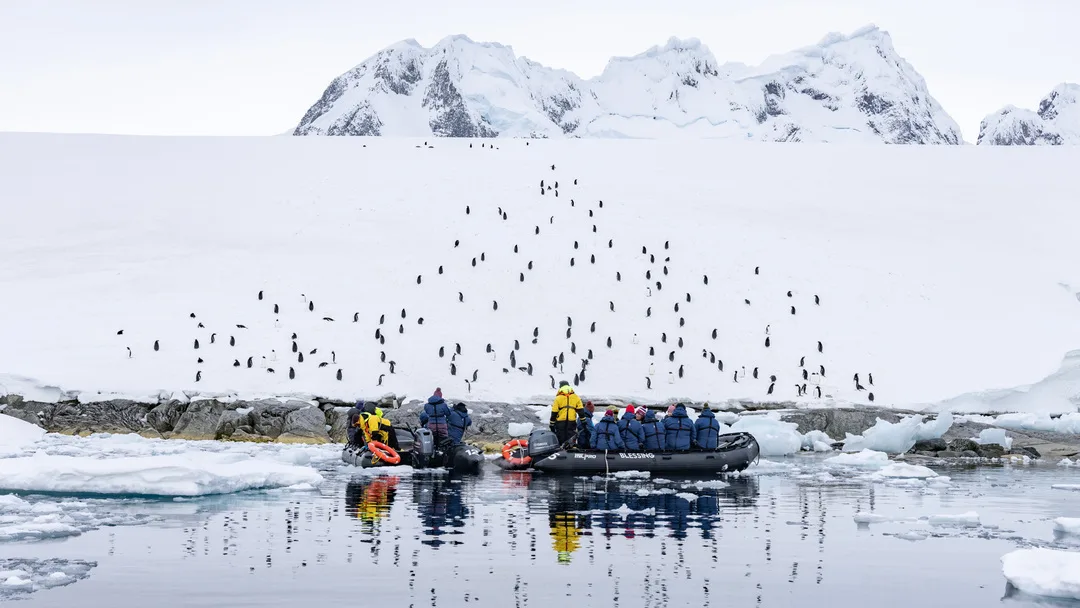 Antarctica Sea Ice Landing HX 45152 Photo Ted Gatlin