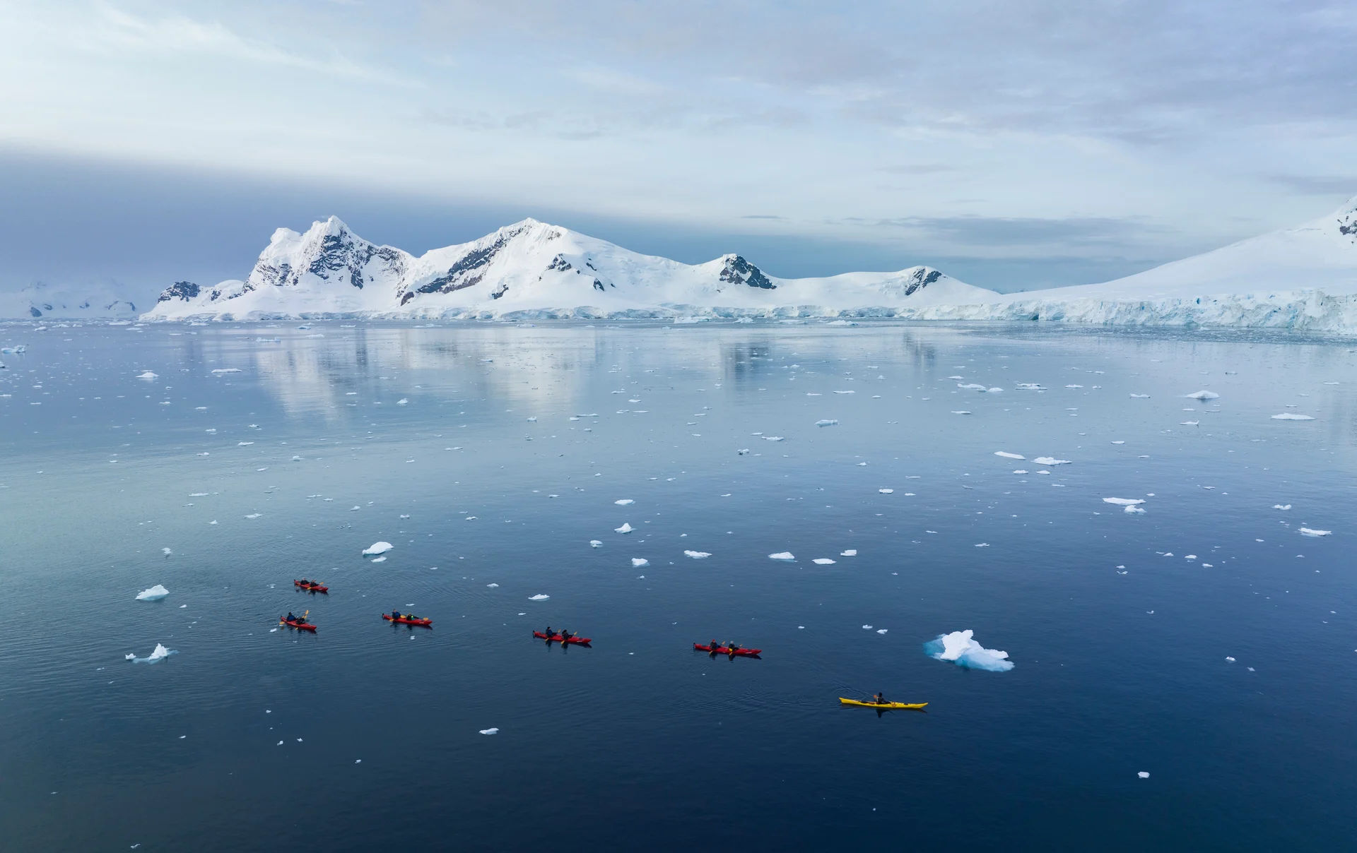 Leith Cove Antarctica HX 41699 Photo Yuri Choufour