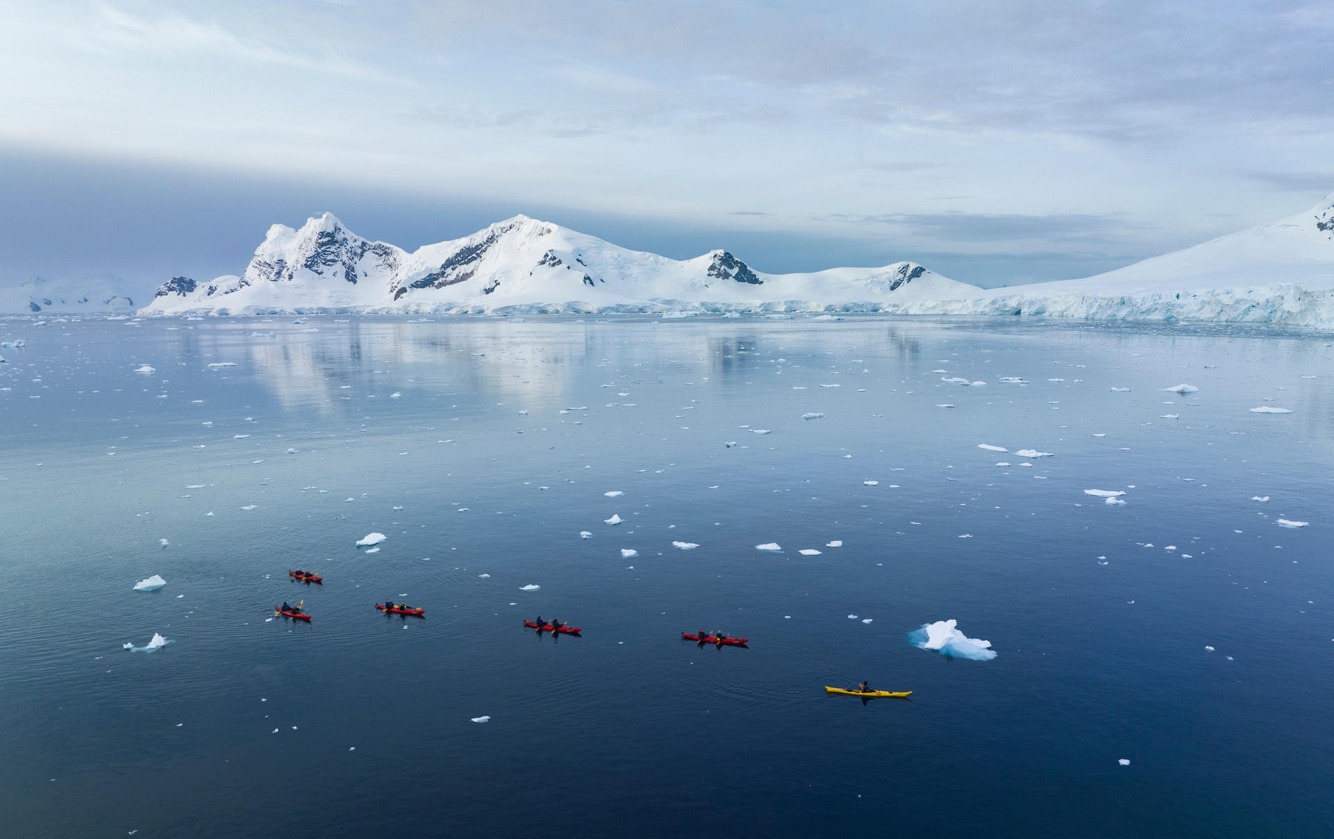 Leith Cove Antarctica HX 41699 Photo Yuri Choufour