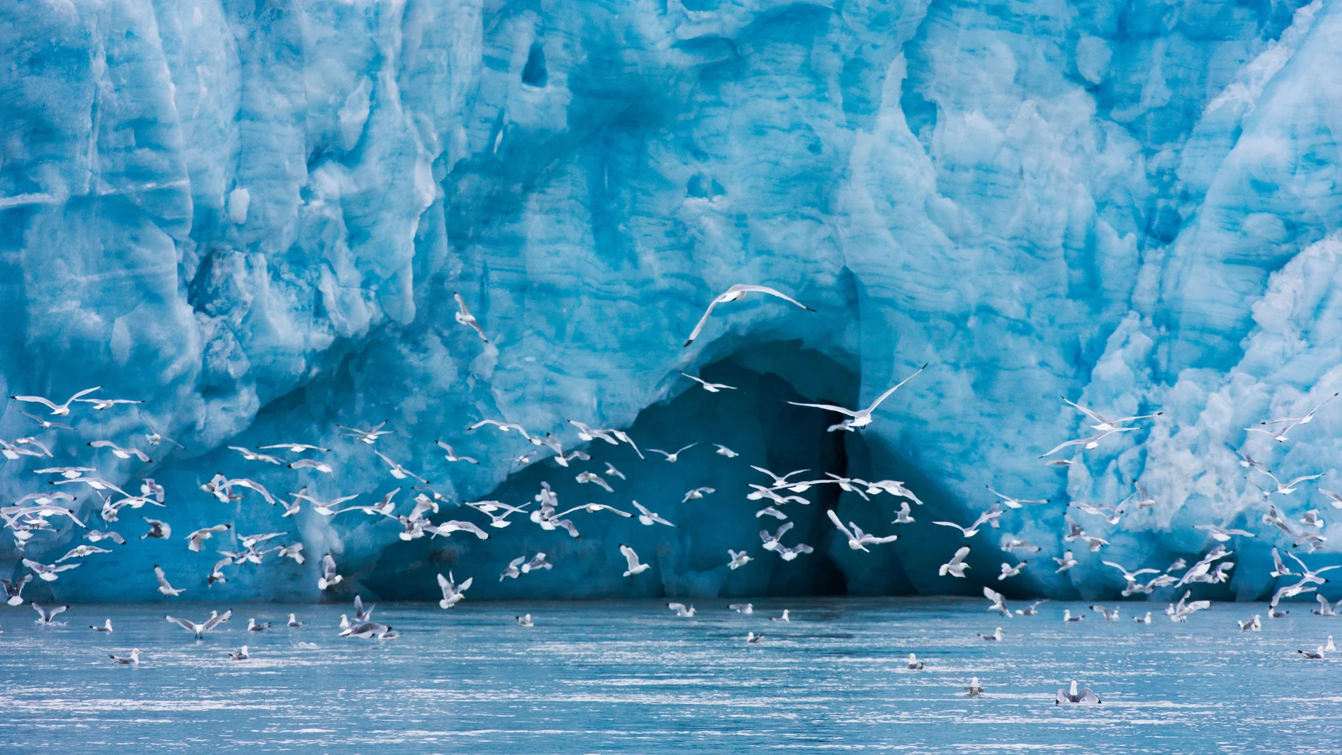 Svalbard om sommeren – under midnatssolen