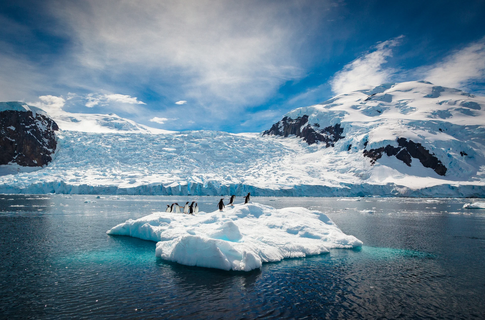 Antarctic Circle Expedition