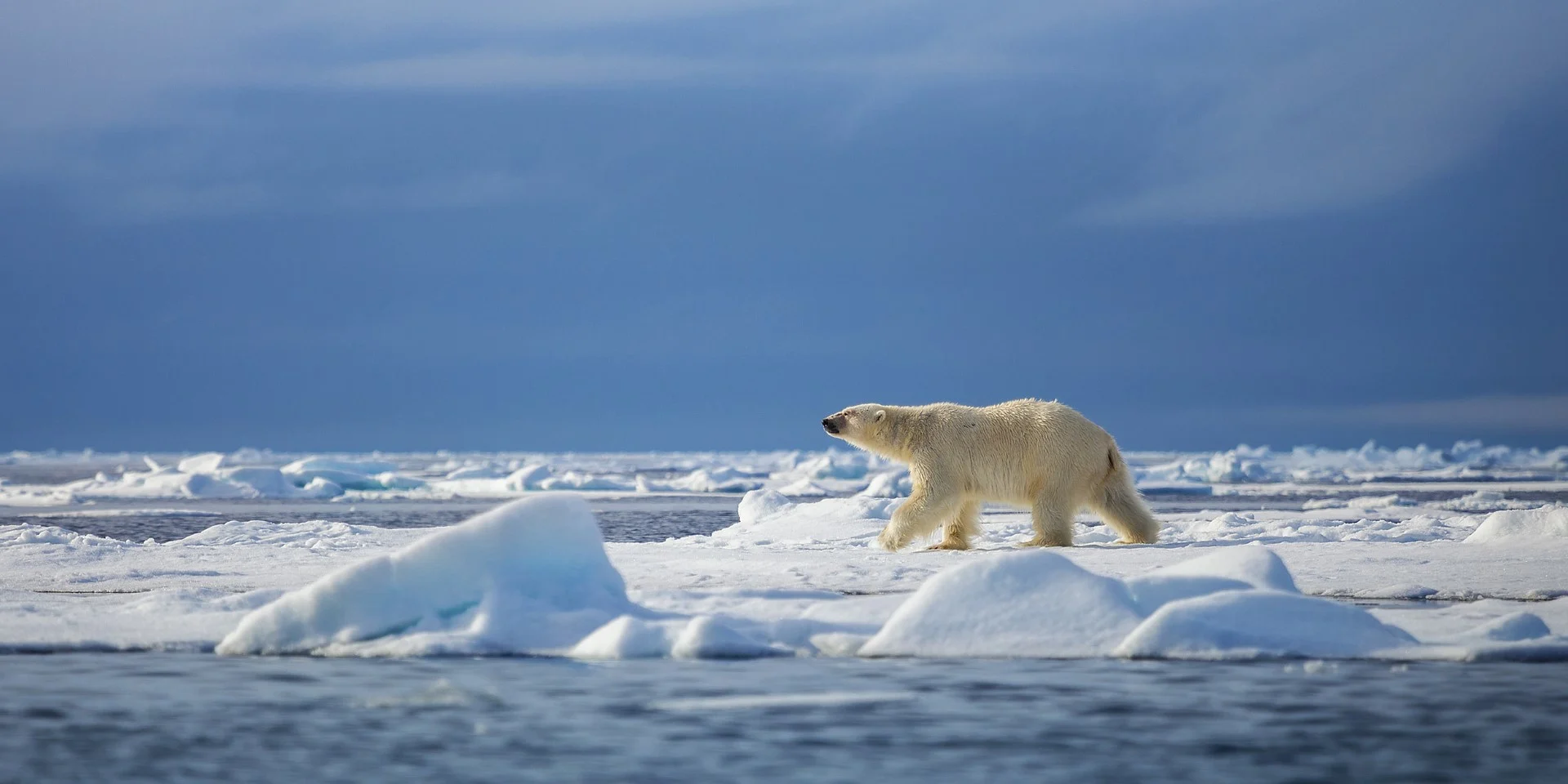 Svalbard