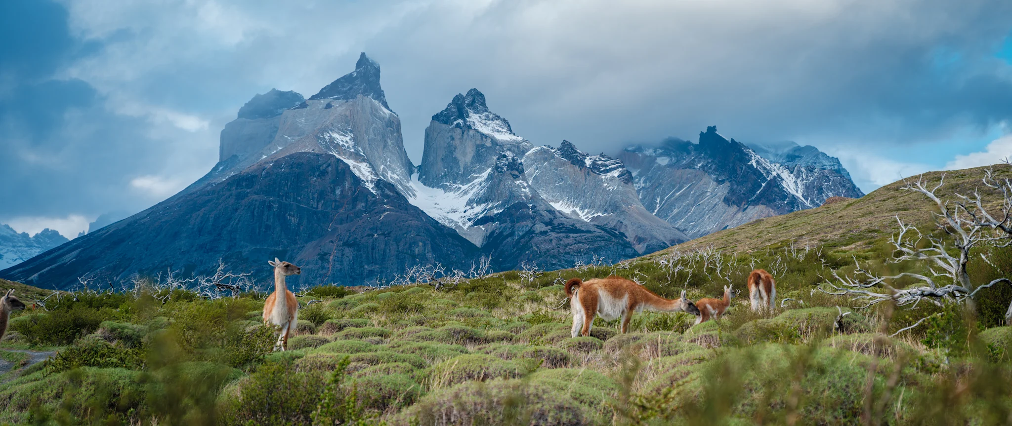 Torres-del-Paine-NP_Patagonia_Chile_HGR-142149-_Photo_Dan_Avila-small.JPG