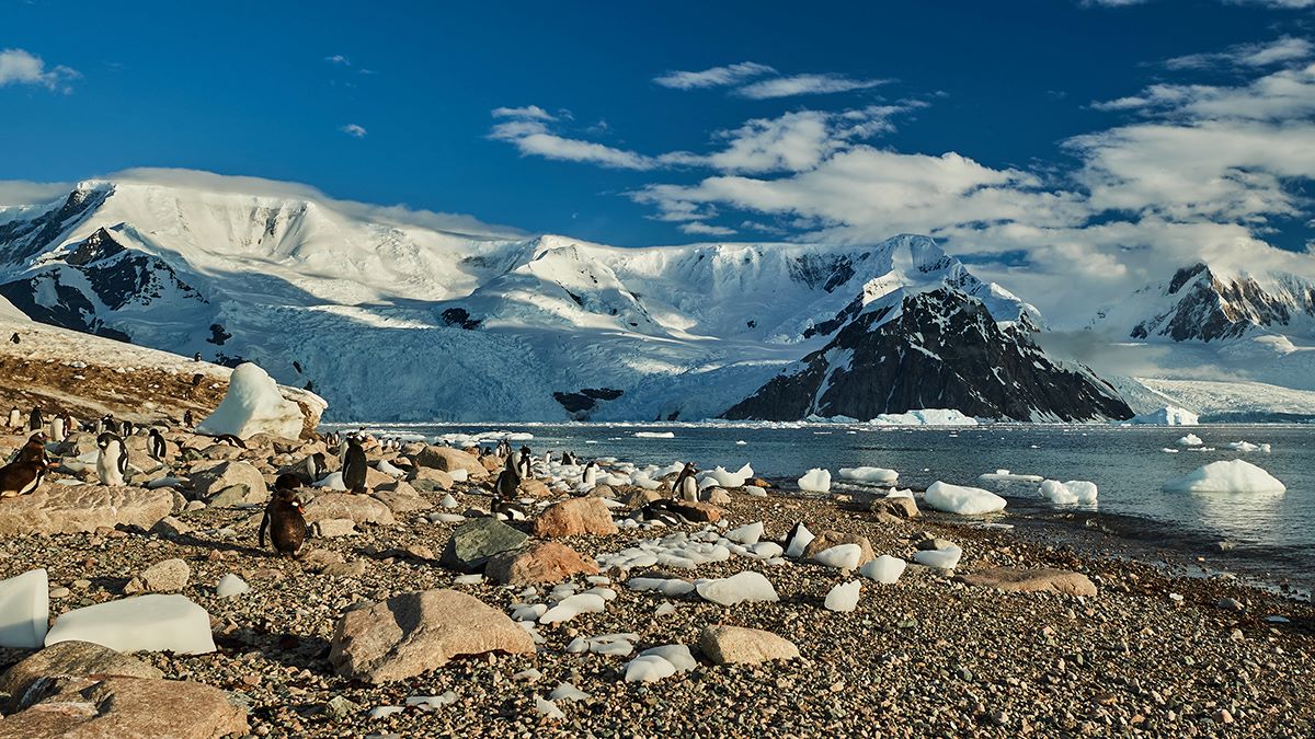 Antarctica & Patagonia Cruise 2027 | HX Expeditions US