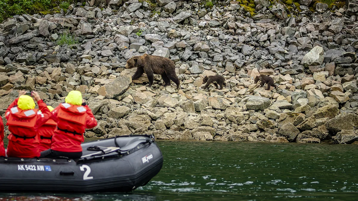 Alaska og British Columbia | Inside Passage, bjørner og Aleutene | Sørgående