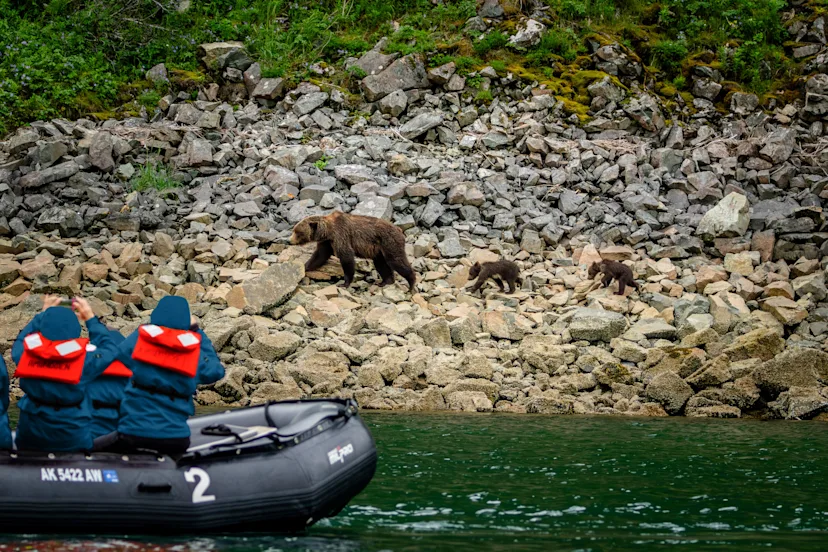 Alaska & British Columbia | Inside Passage, Bears and Aleutian Islands | Southbound