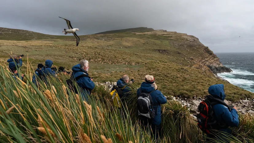 In-depth Antarctica, Falklands & South Georgia Expedition (Flight Included)