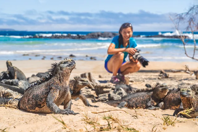 gal-pagos-islands-cruise-iconic-wildlife-sublime-scenery-2026-hx