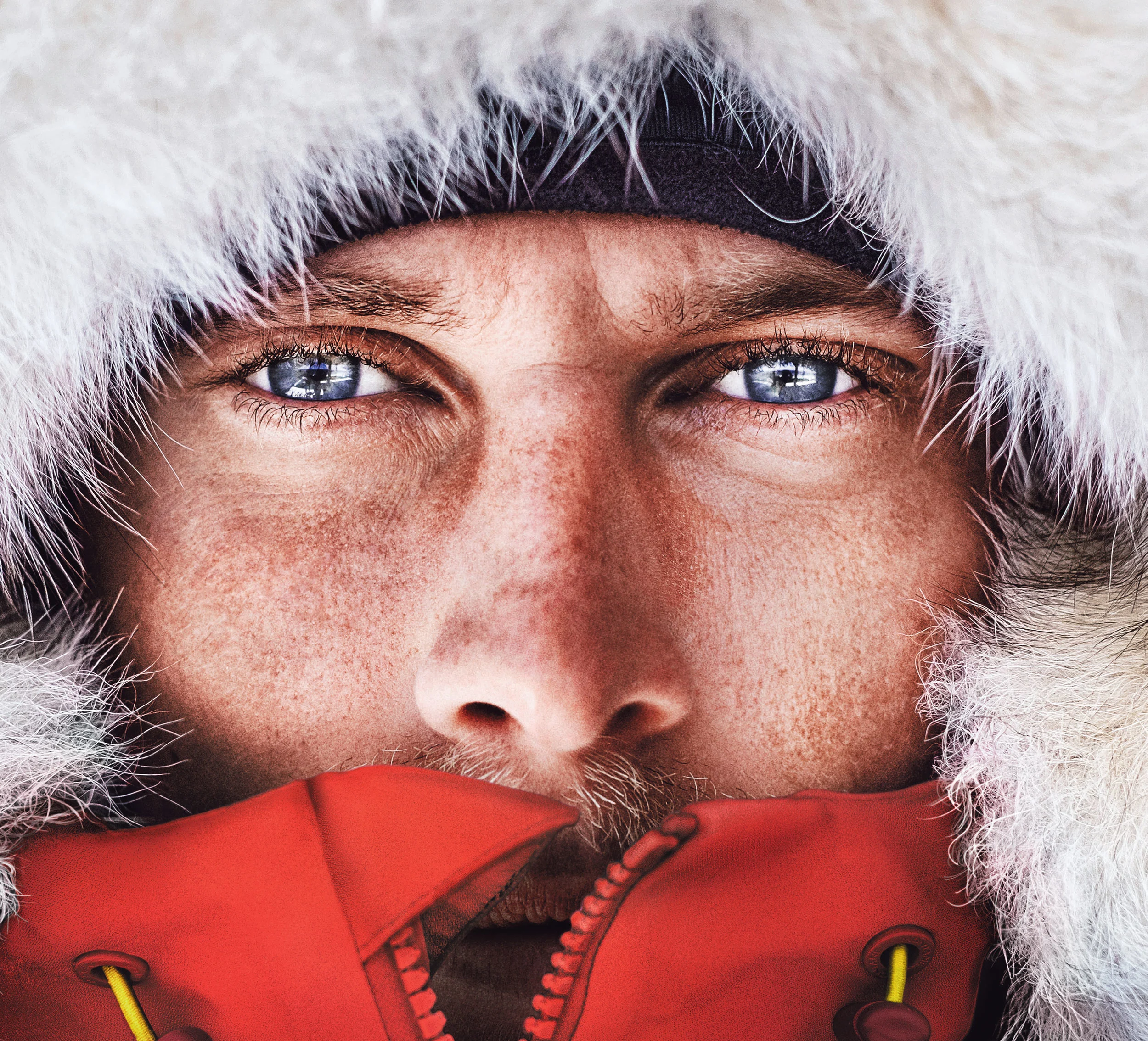 Campaign Image Antarctica