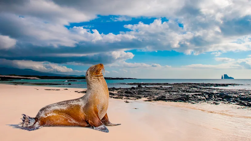 Neun der schönsten Galapagos-Inseln und Machu Picchu (West- und Nordroute)