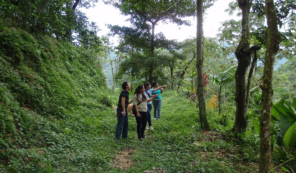 hiking-the-tacana-volcan-trail.jpeg