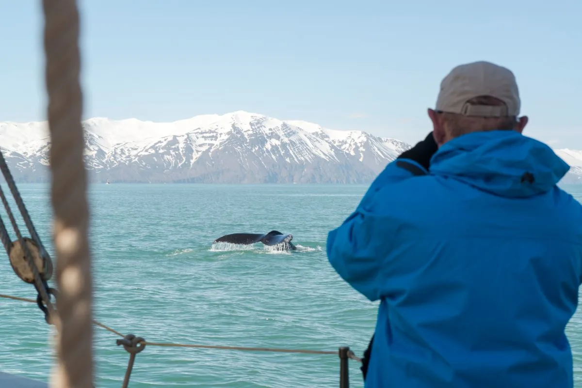 Whale-watching-Husavik-Iceland-HGR-113856- Photo Esther Kokmeijer
