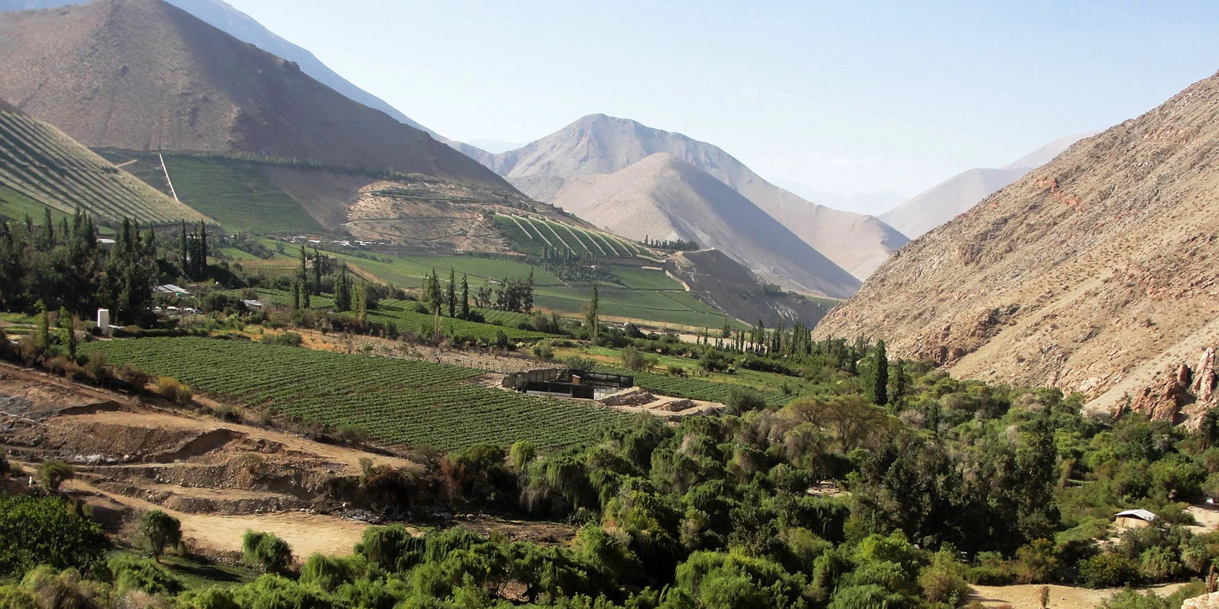 a-cqq5_elqui-valley_coquimbo-region_chile_2500x1250.jpg