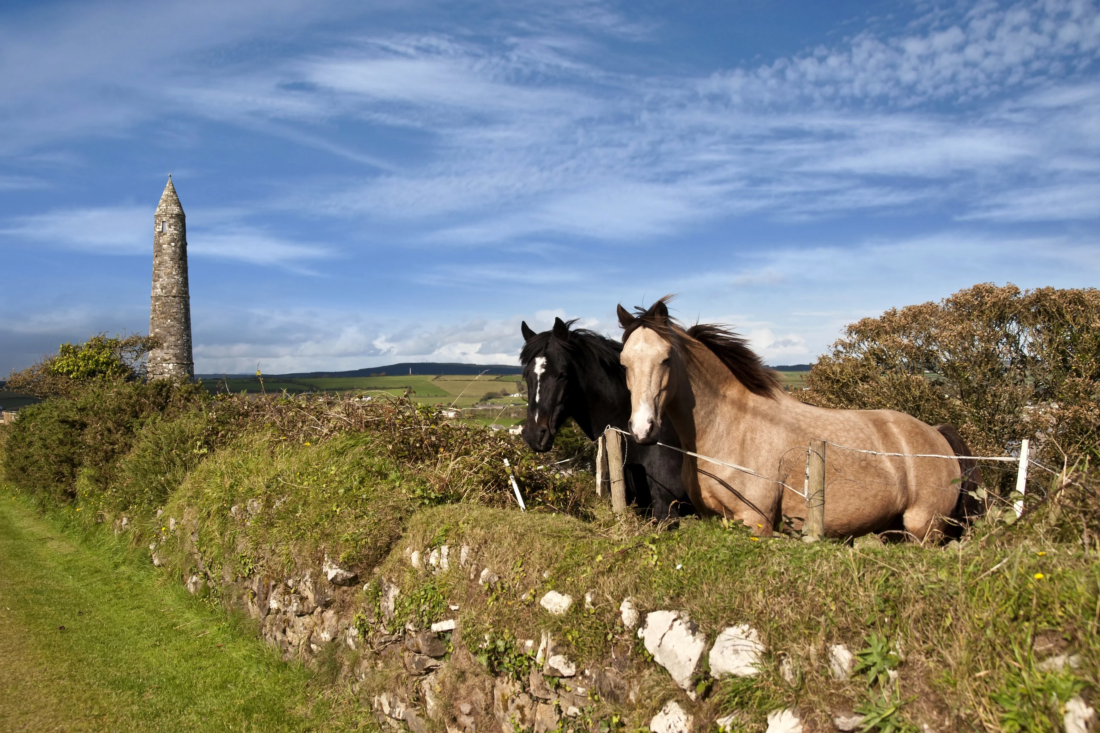 waterford-ireland-hgr-143040_jpg.jpg