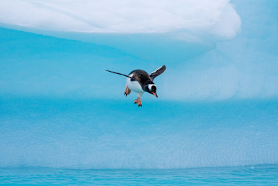 Antarctica