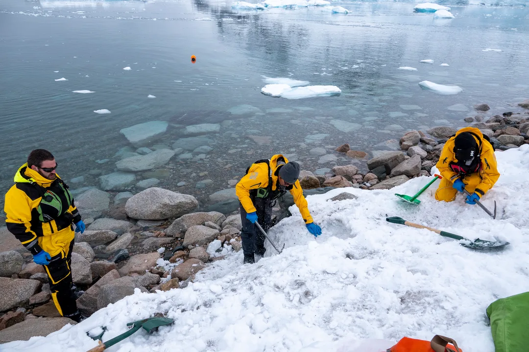 Science - Neko Harbour Antarctica HX 33987