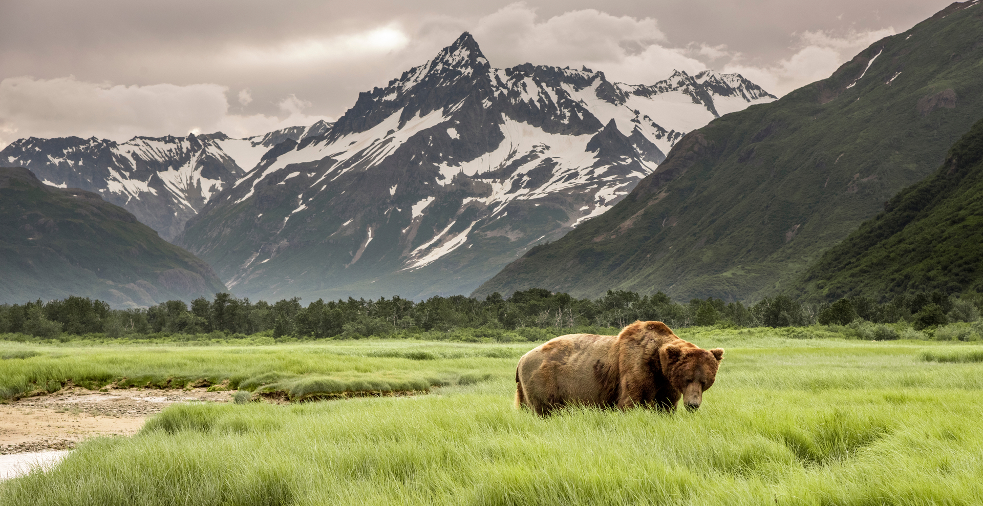 Expedition Travel Guide for Alaska