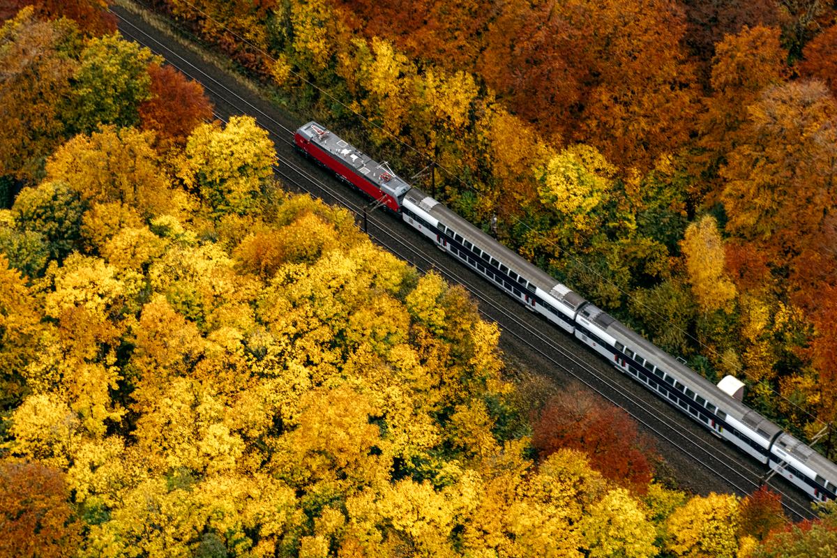 Efterår_Vectron-1200px