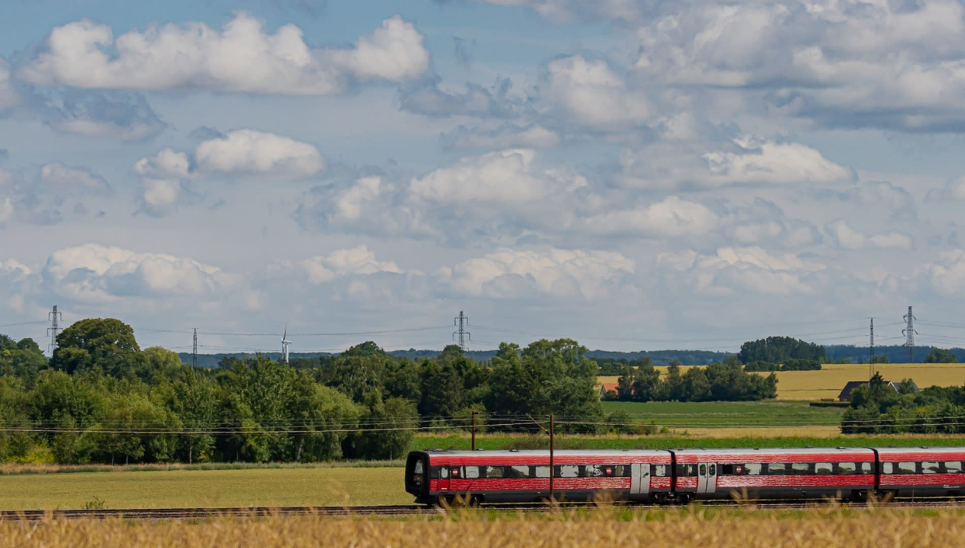 Du må gerne medbringe din hund eller kæledyr