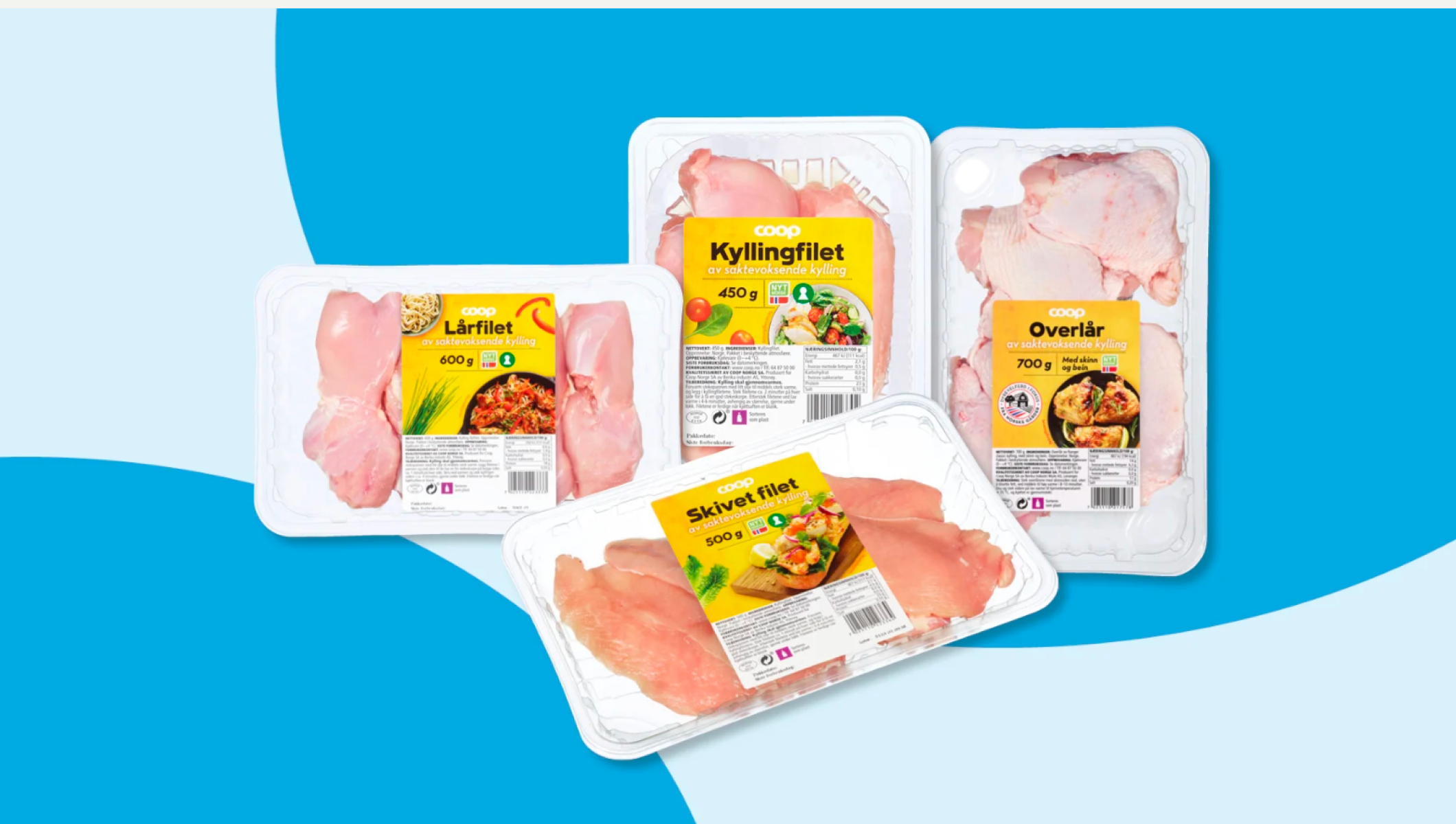 Saktevoksende kylling