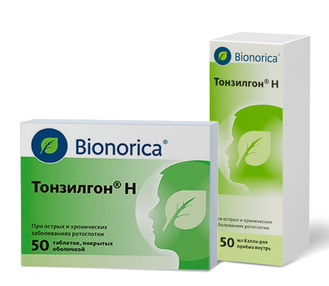 image 2025-11-17 17-18-31