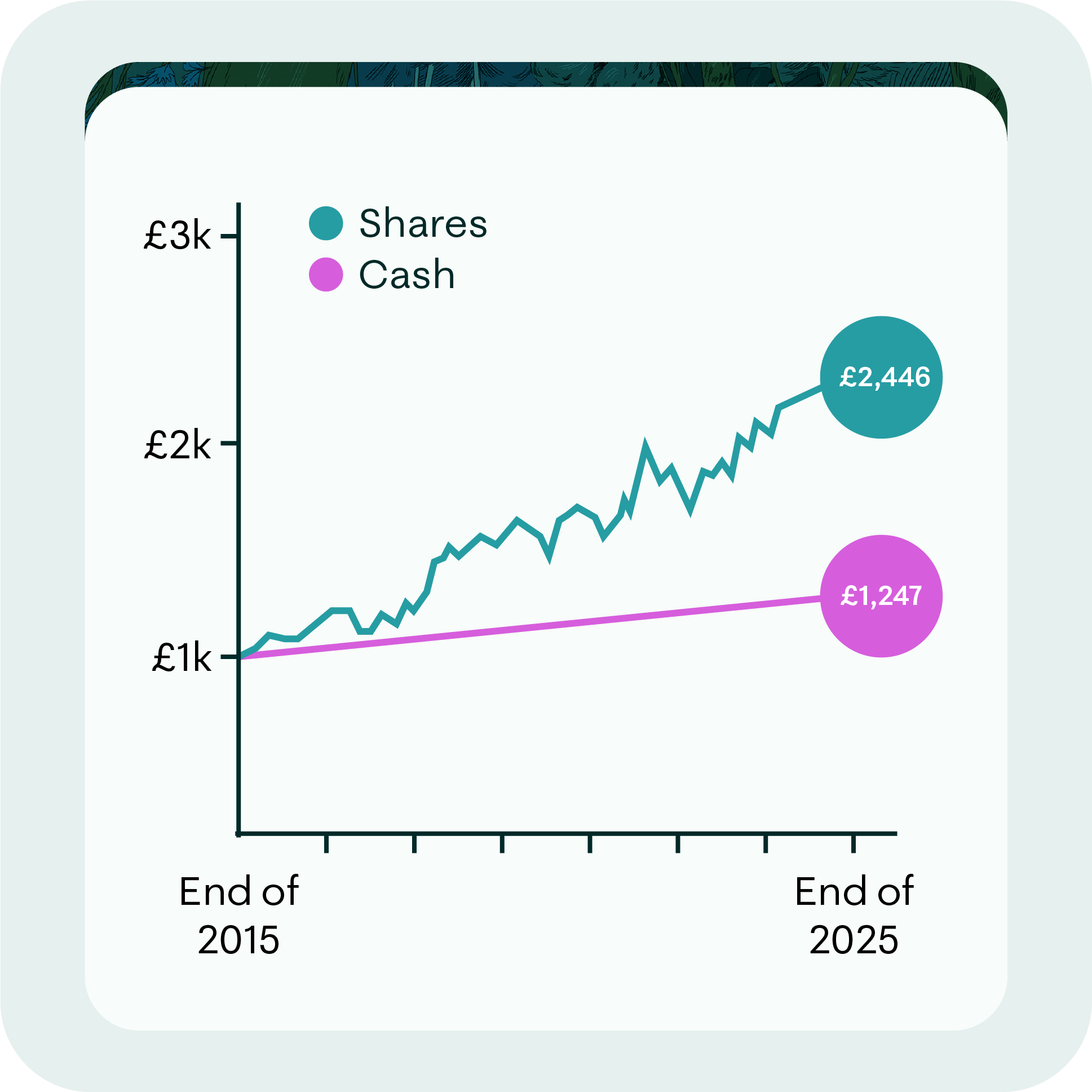 Graph comparing shares versus cash growth from 2014 to 2024