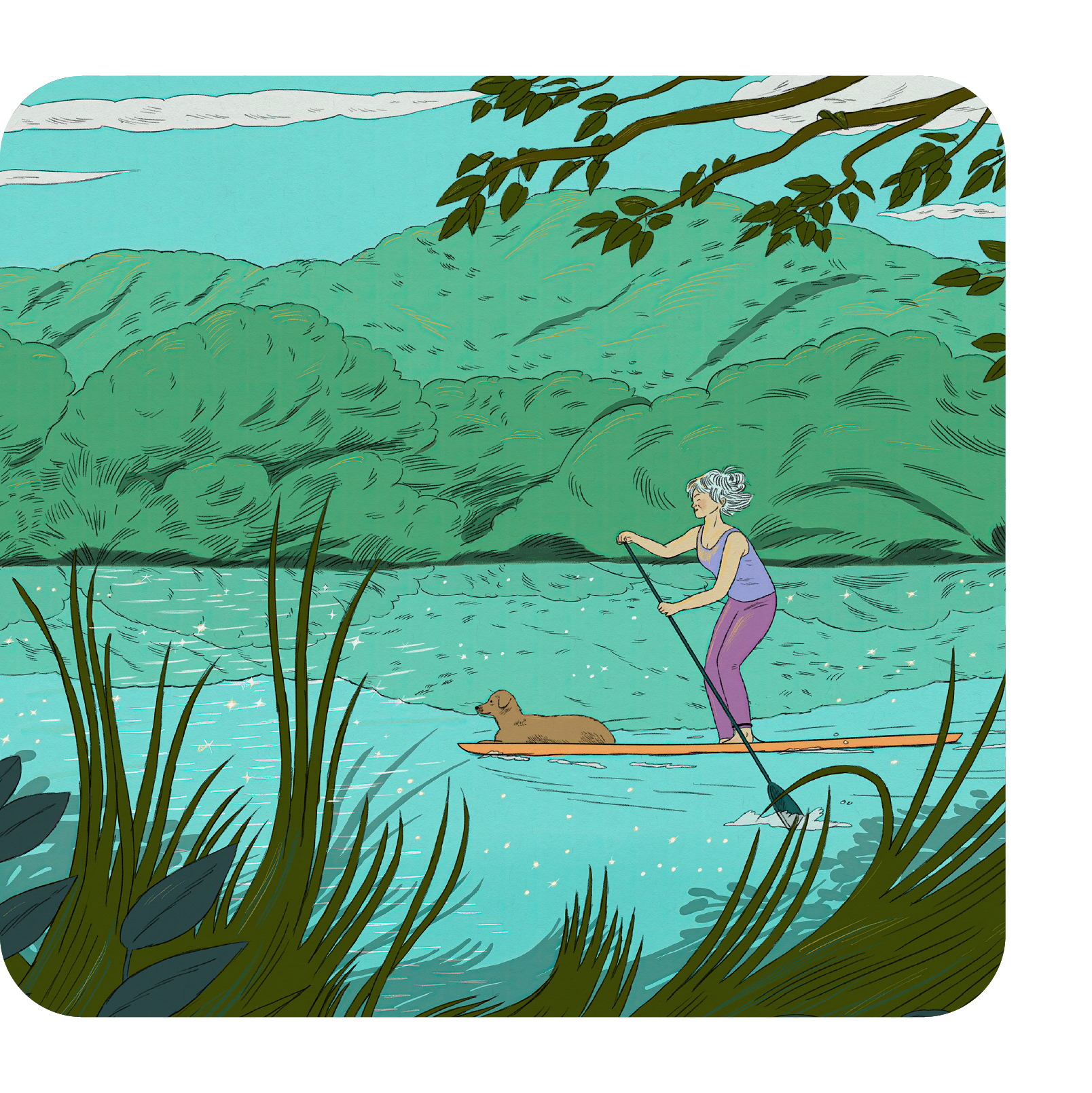 Illustration of a lady on a paddle board with her dogs, paddling on a river.