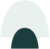 White shield icon representing protection.