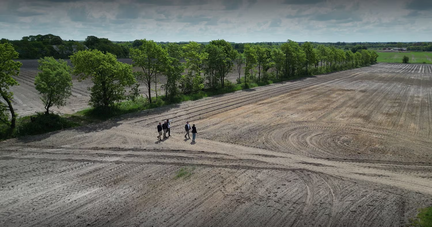 People walking in newly established forest shot by a drone