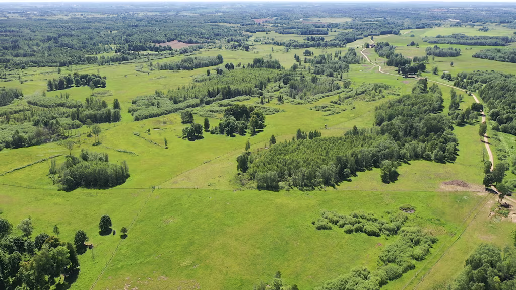 Latvia-afforestation
