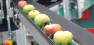 Apples in factory