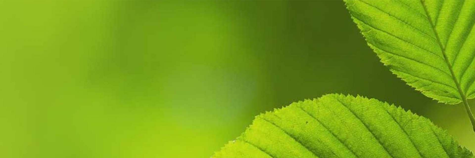 Corporate Social Responsibility (CSR)