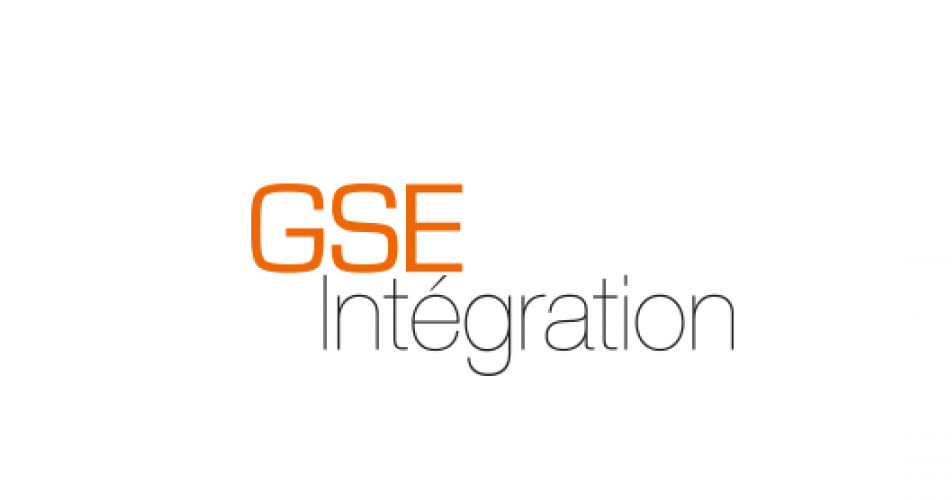 GSE Integration logo