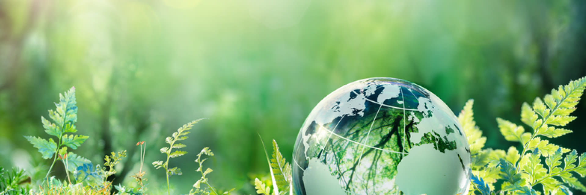 BCRG kwaliteitsverklaringen voor zonnepanelen