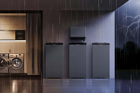 EcoFlow PowerOcean 3-Fase Plus