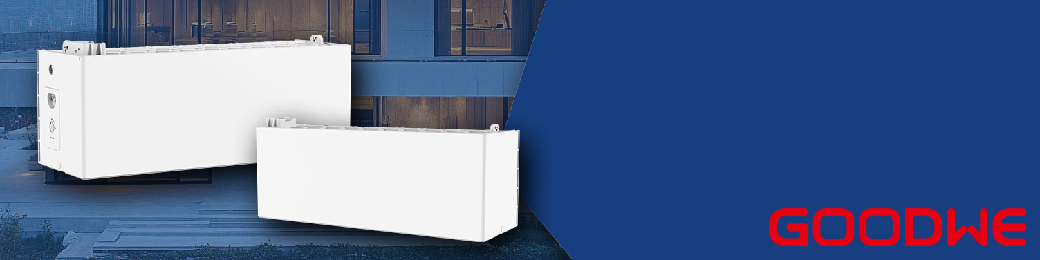 webshop-banner2-goodwe