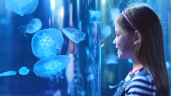 sealife-london-jellyfish (1)