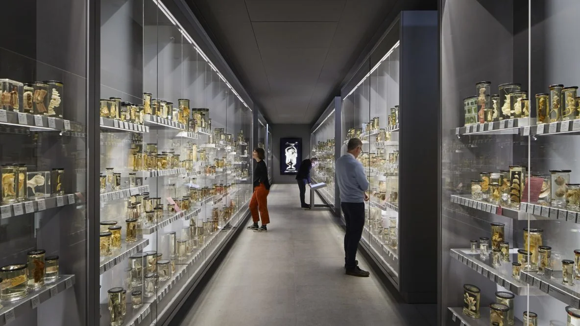 Hunterian Museum