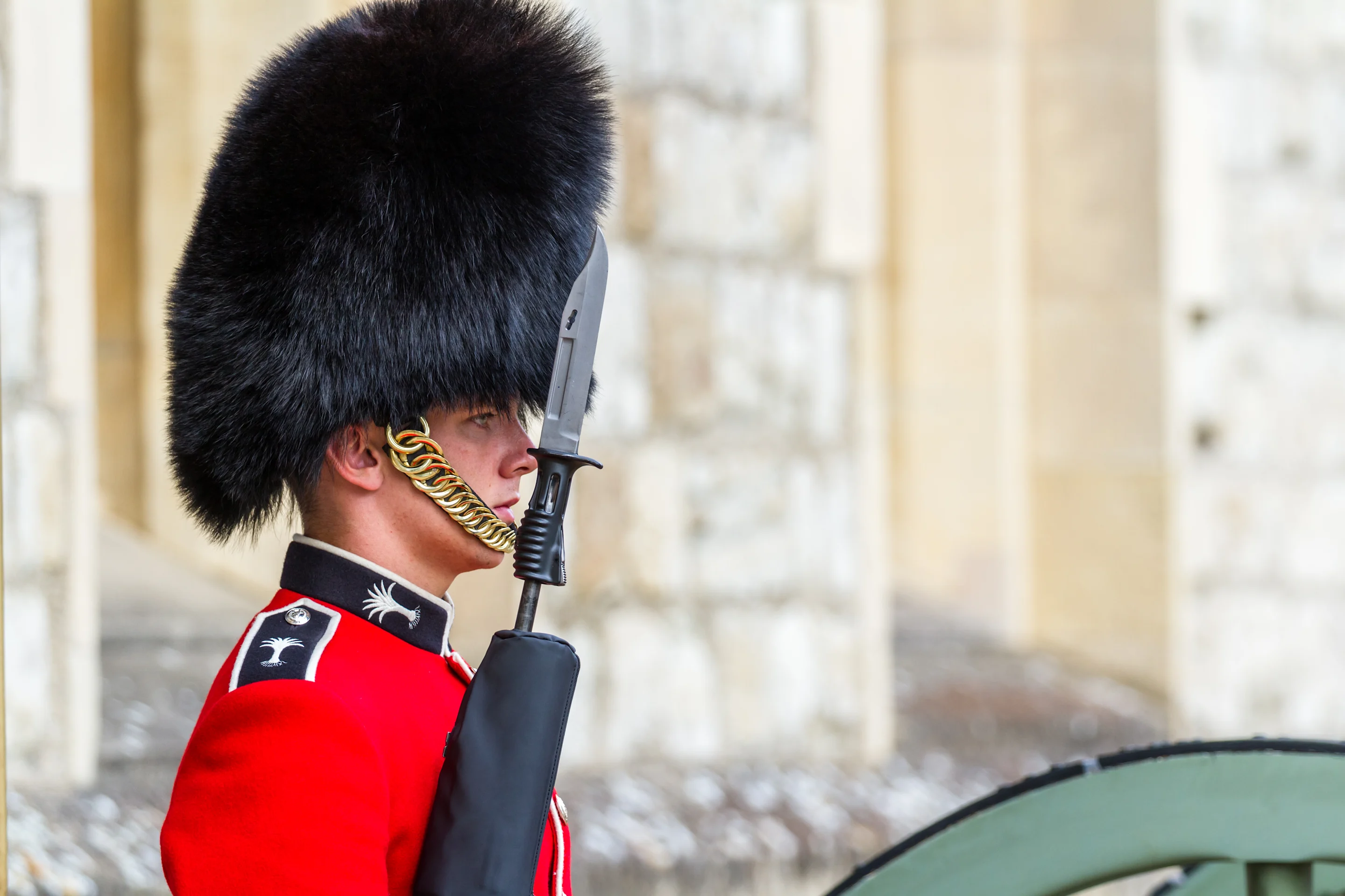 Royal Guard at Buckingham Palace