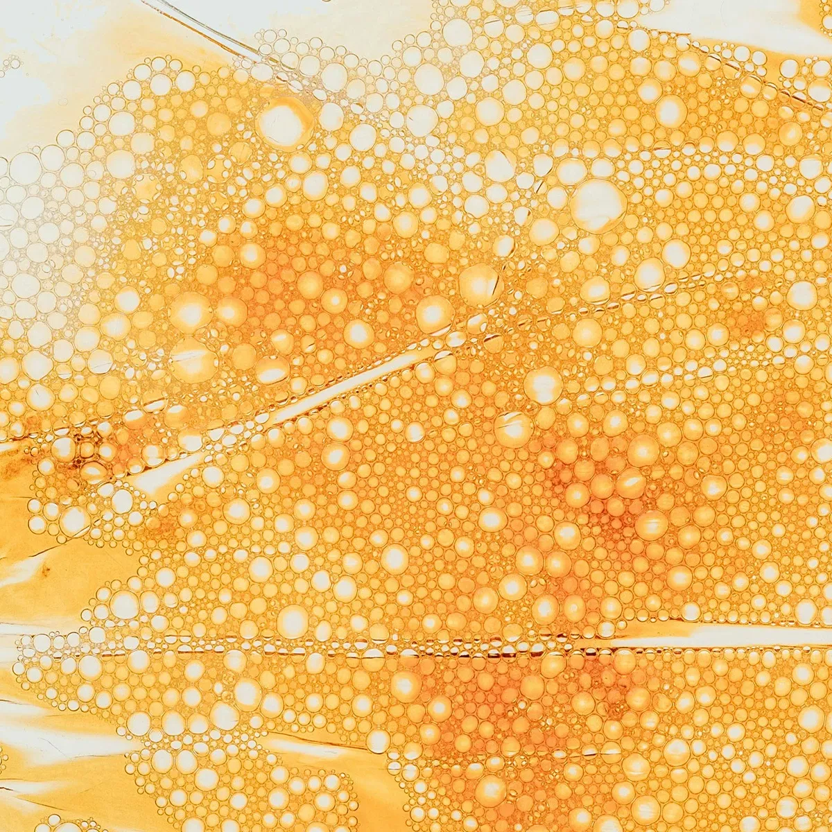 Askorbinsyra med många små, runda bubblor i olika nyanser av orange och gult.